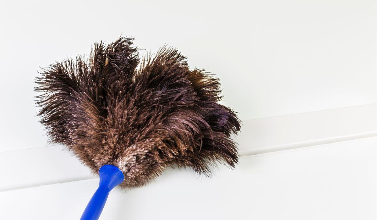 Espanador de pó​ Full Clean