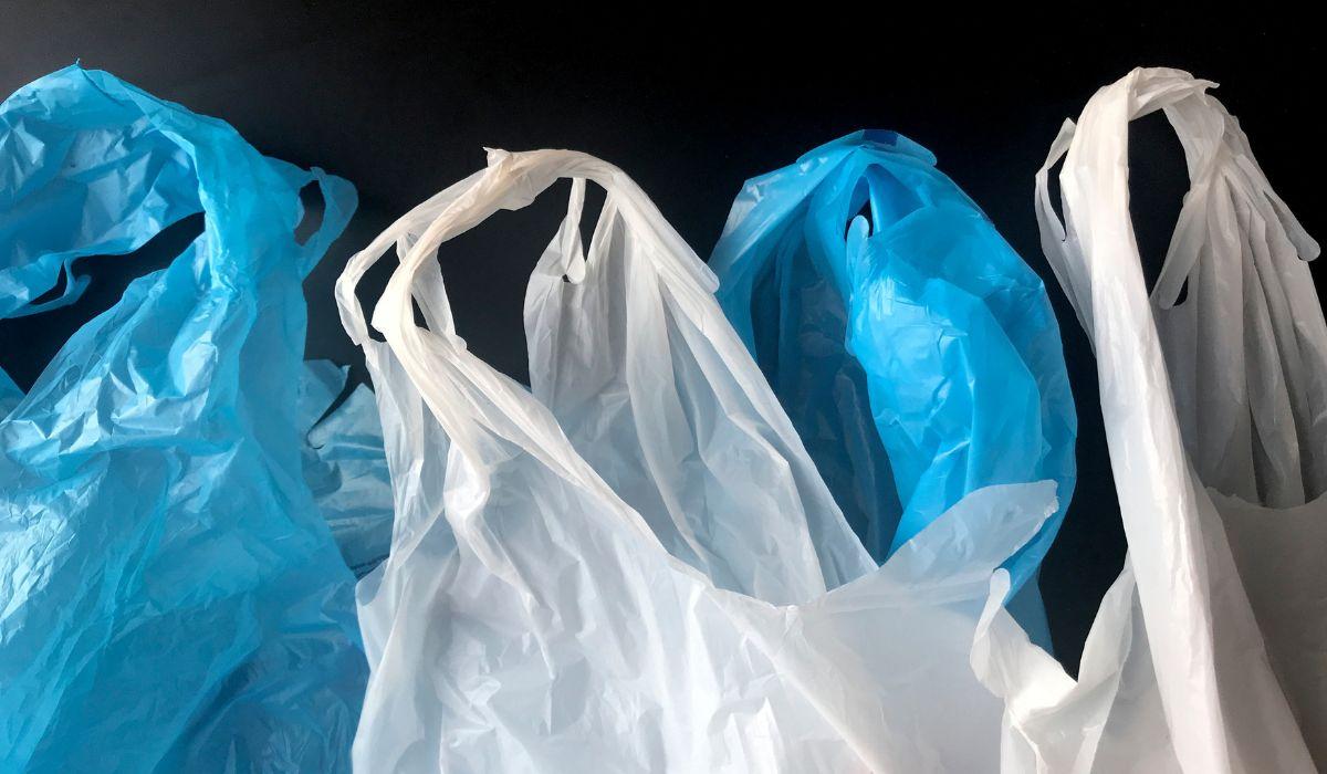 Distribuidor de Descartáveis no Atacado